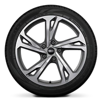 20" alloy wheels in 5-twin spoke offset design in platinum grey